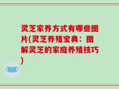 灵芝家养方式有哪些图片(灵芝养殖宝典：图解灵芝的家庭养殖技巧)