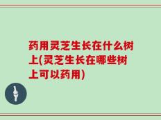 药用灵芝生长在什么树上(灵芝生长在哪些树上可以药用)