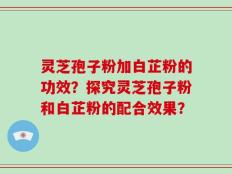 灵芝孢子粉加白芷粉的功效？探究灵芝孢子粉和白芷粉的配合效果？