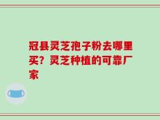 冠县灵芝孢子粉去哪里买？灵芝种植的可靠厂家