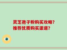 灵芝孢子粉购买攻略？推荐优质购买渠道？