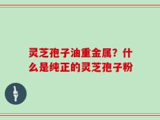灵芝孢子油重金属？什么是纯正的灵芝孢子粉