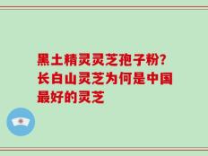 黑土精灵灵芝孢子粉？长白山灵芝为何是中国最好的灵芝