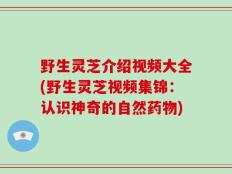 野生灵芝介绍视频大全(野生灵芝视频集锦：认识神奇的自然药物)