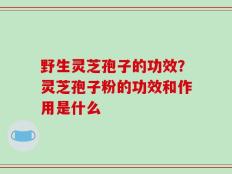 野生灵芝孢子的功效？灵芝孢子粉的功效和作用是什么