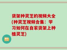 货架种灵芝的视频大全(种灵芝视频合集：学习如何在自家货架上种植灵芝)
