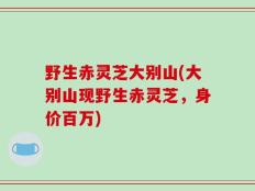 野生赤灵芝大别山(大别山现野生赤灵芝，身价百万)
