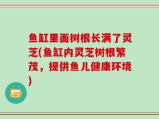 鱼缸里面树根长满了灵芝(鱼缸内灵芝树根繁茂，提供鱼儿健康环境)