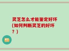 灵芝怎么才能鉴定好坏(如何判断灵芝的好坏？)