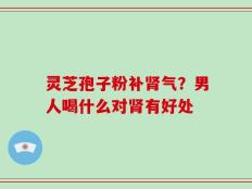 灵芝孢子粉补肾气？男人喝什么对肾有好处
