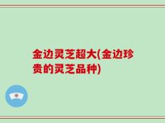 金边灵芝超大(金边珍贵的灵芝品种)