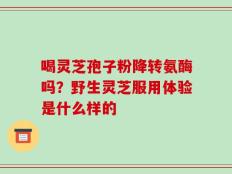 喝灵芝孢子粉降转氨酶吗？野生灵芝服用体验是什么样的