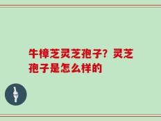 牛樟芝灵芝孢子？灵芝孢子是怎么样的