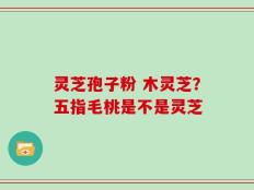 灵芝孢子粉 木灵芝？五指毛桃是不是灵芝