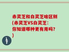 赤灵芝和白灵芝啥区别(赤灵芝VS白灵芝：你知道哪种更有用吗？)