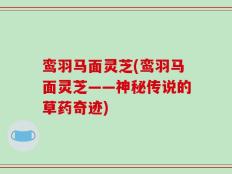 鸾羽马面灵芝(鸾羽马面灵芝——神秘传说的草药奇迹)