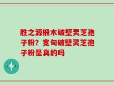 胜之源椴木破壁灵芝孢子粉？宽甸破壁灵芝孢子粉是真的吗