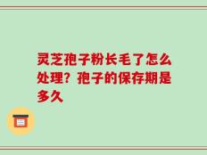 灵芝孢子粉长毛了怎么处理？孢子的保存期是多久