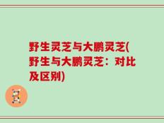 野生灵芝与大鹏灵芝(野生与大鹏灵芝：对比及区别)