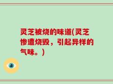灵芝被烧的味道(灵芝惨遭烧毁，引起异样的气味。)
