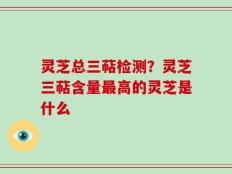 灵芝总三萜检测？灵芝三萜含量最高的灵芝是什么