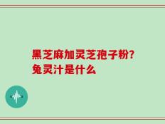 黑芝麻加灵芝孢子粉？兔灵汁是什么