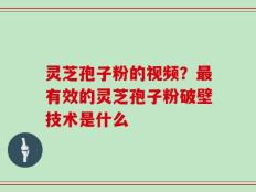灵芝孢子粉的视频？最有效的灵芝孢子粉破壁技术是什么