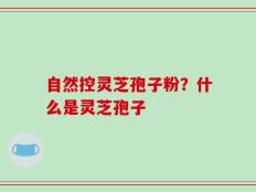 自然控灵芝孢子粉？什么是灵芝孢子