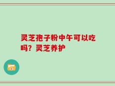 灵芝孢子粉中午可以吃吗？灵芝养护