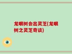 龙眼树会出灵芝(龙眼树之灵芝奇谈)