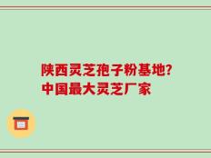 陕西灵芝孢子粉基地？中国最大灵芝厂家