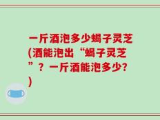 一斤酒泡多少蝎子灵芝(酒能泡出“蝎子灵芝”？一斤酒能泡多少？)