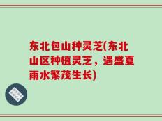 东北包山种灵芝(东北山区种植灵芝，遇盛夏雨水繁茂生长)