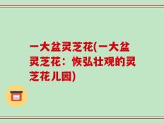 一大盆灵芝花(一大盆灵芝花：恢弘壮观的灵芝花儿园)