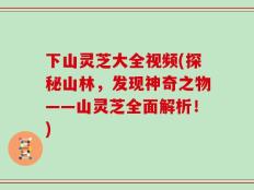 下山灵芝大全视频(探秘山林，发现神奇之物——山灵芝全面解析！)