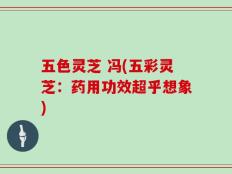 五色灵芝 冯(五彩灵芝：药用功效超乎想象)