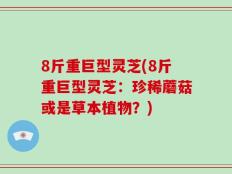 8斤重巨型灵芝(8斤重巨型灵芝：珍稀蘑菇或是草本植物？)