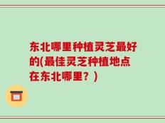 东北哪里种植灵芝最好的(最佳灵芝种植地点在东北哪里？)