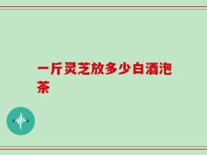 一斤灵芝放多少白酒泡茶