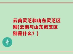 云南灵芝和山东灵芝区别(云南与山东灵芝区别是什么？)