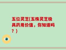 五位灵芝(五株灵芝极具药用价值，你知道吗？)