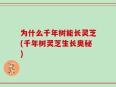 为什么千年树能长灵芝(千年树灵芝生长奥秘)