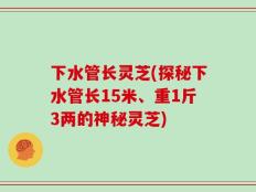 下水管长灵芝(探秘下水管长15米、重1斤3两的神秘灵芝)