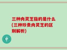 三种肉灵芝指的是什么(三种珍贵肉灵芝的区别解析)