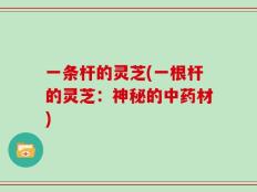 一条杆的灵芝(一根杆的灵芝：神秘的中药材)
