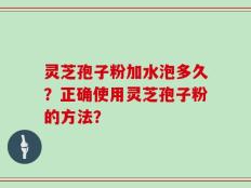 灵芝孢子粉加水泡多久？正确使用灵芝孢子粉的方法？