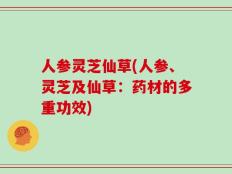 人参灵芝仙草(人参、灵芝及仙草：药材的多重功效)