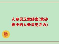 人参灵芝紫砂壶(紫砂壶中的人参灵芝之力)