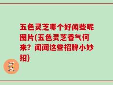 五色灵芝哪个好闻些呢图片(五色灵芝香气何来？闻闻这些招牌小妙招)