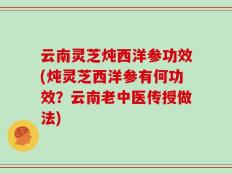云南灵芝炖西洋参功效(炖灵芝西洋参有何功效？云南老中医传授做法)